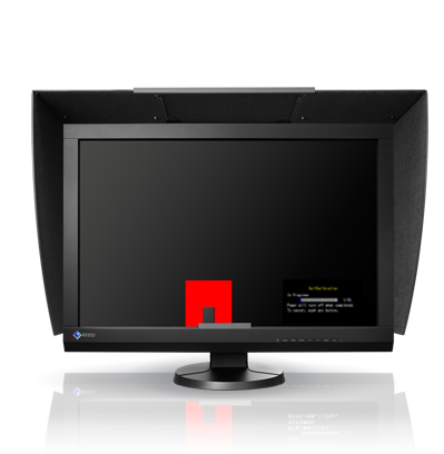 Self Calibrating LCD Color Monitor ColorEdge CG246 - EIZO