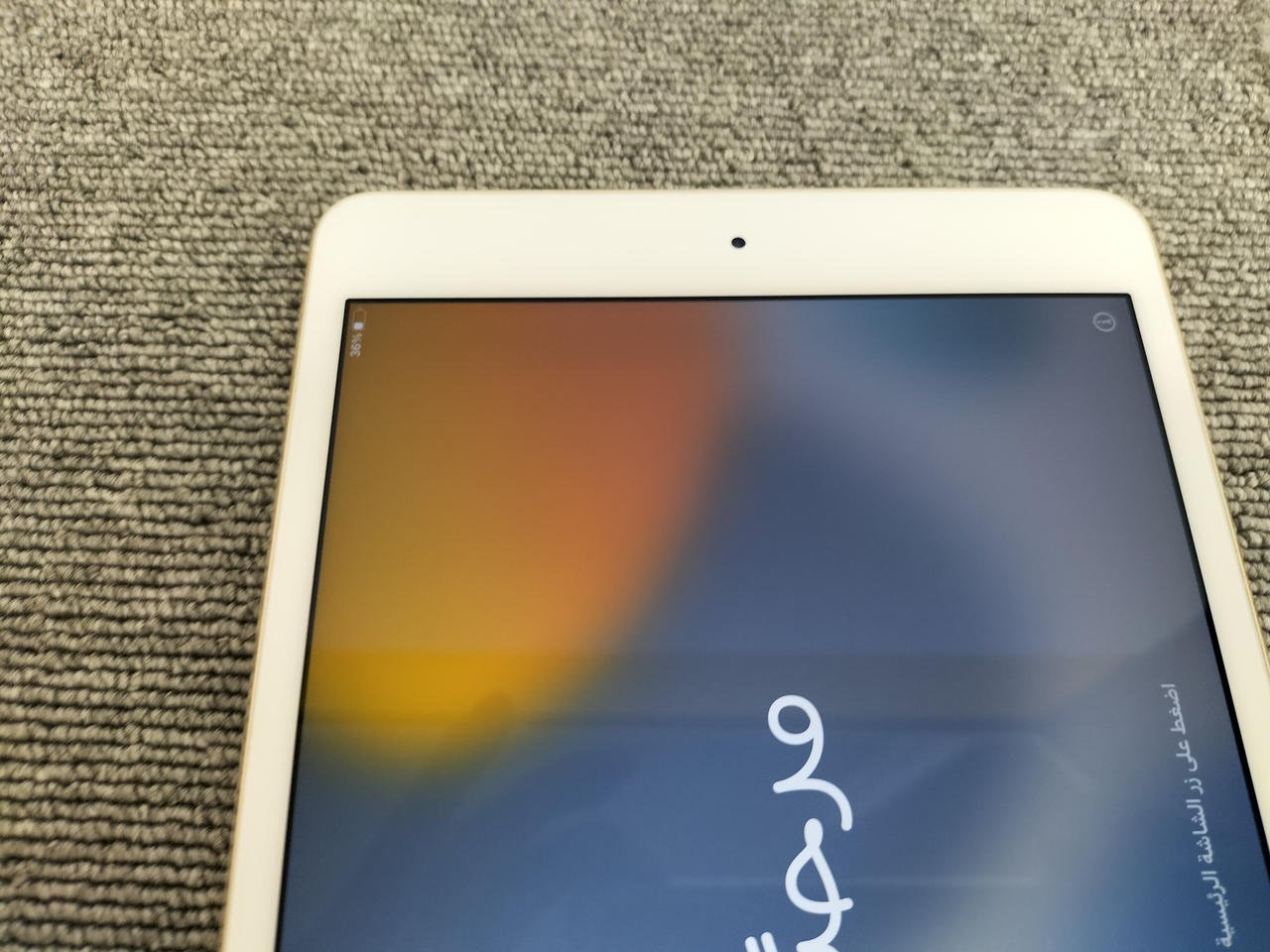 アップルコンピュータジャパン(APPLE)|iPad Mini4【ジャンク品