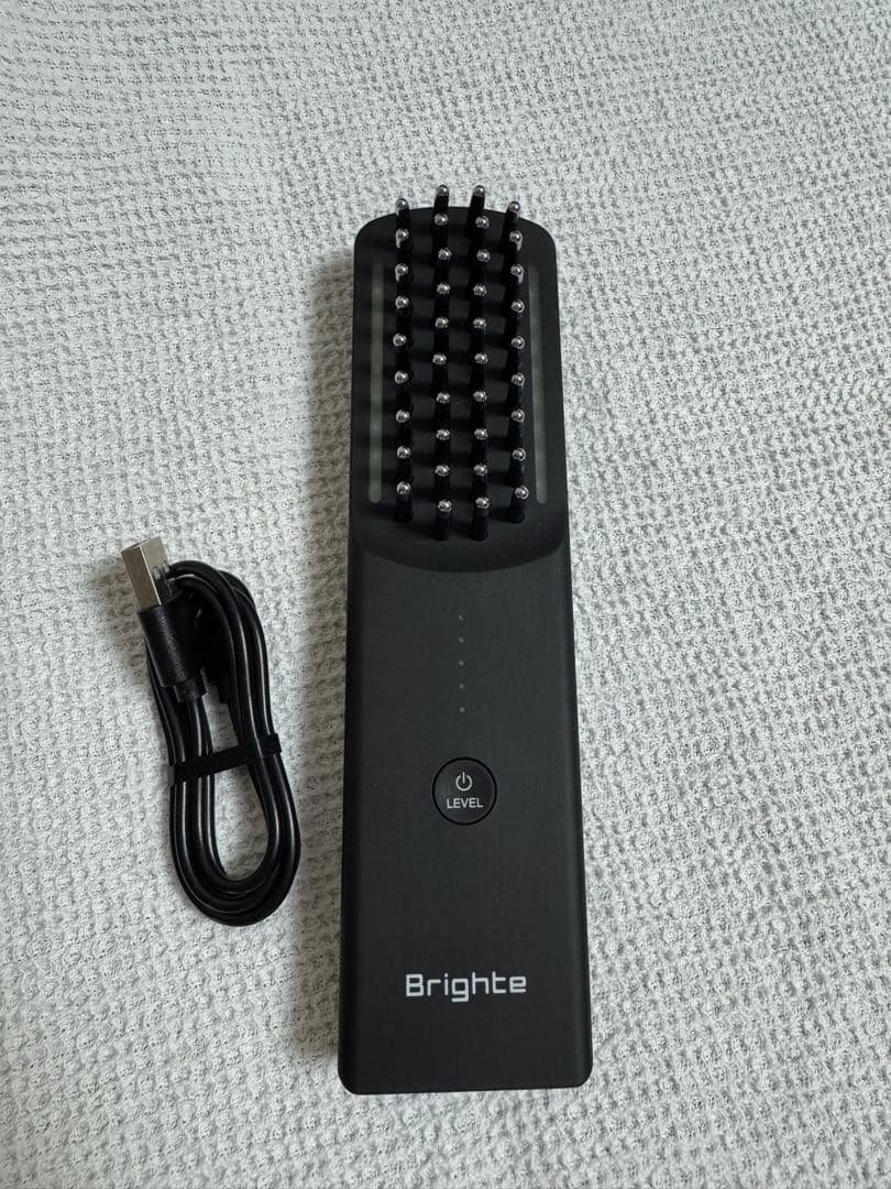 Brighte ELEKI BRUSH 美顔器【旧作】 s-l400.jpg