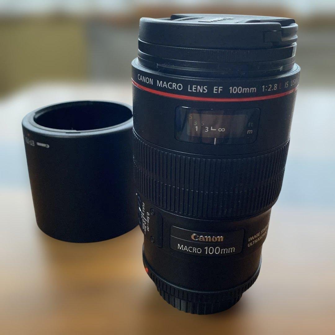 Canon EF 100mm f/2.8L IS USM マクロレンズ Amazon.co.jp: Canon EFレンズ EF100mm F2.8L マクロ IS USM マクロ