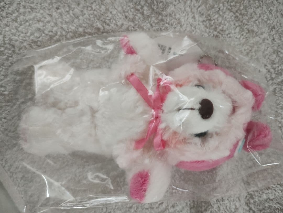 未開封の新品 ご当地ベア バラ売りOK